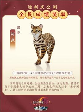 侠盗天龙八部私服